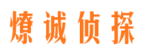 九龙捉小三公司